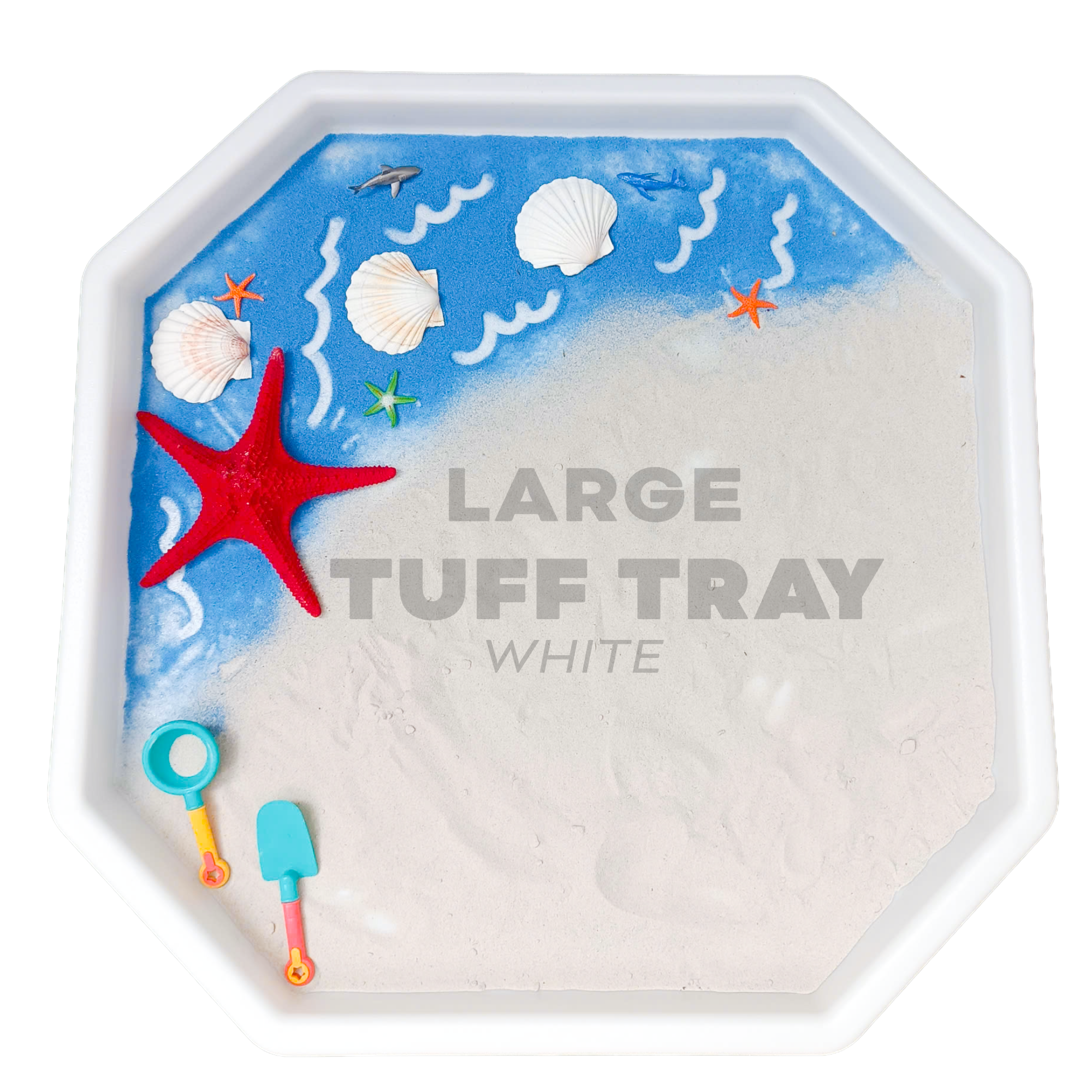 Learning Through PLAYtrays