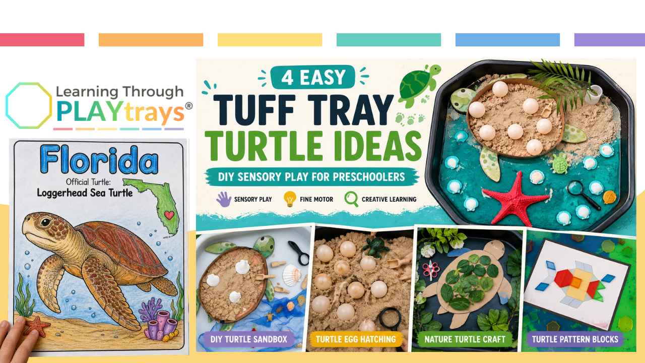Tuff Tray Turtle Ideas: DIY Sea Turtle Sensory Bin & Ocean Tuff Trays ...