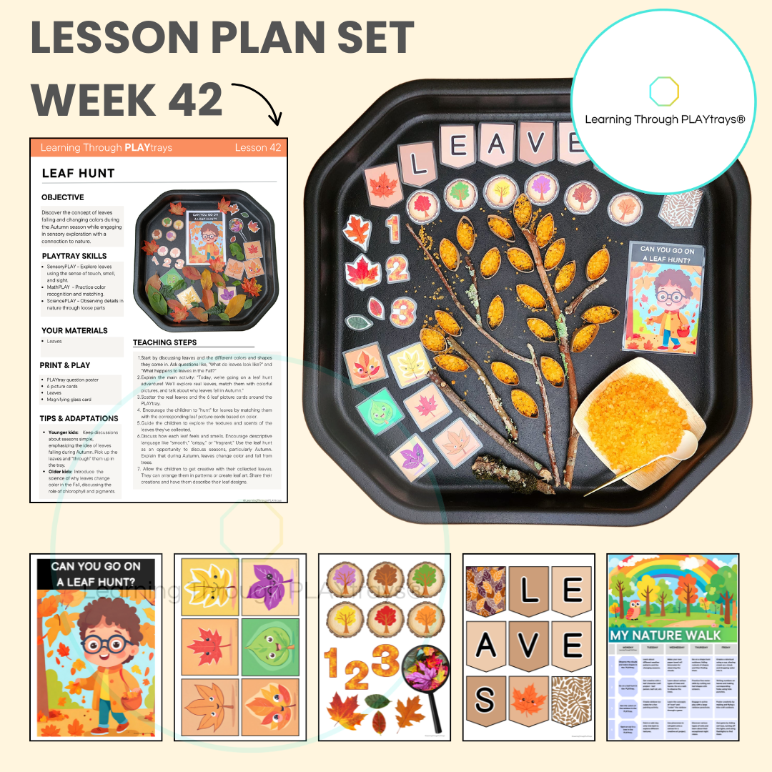 Educational materials for a lesson plan set with leaf-themed activities and supplies.