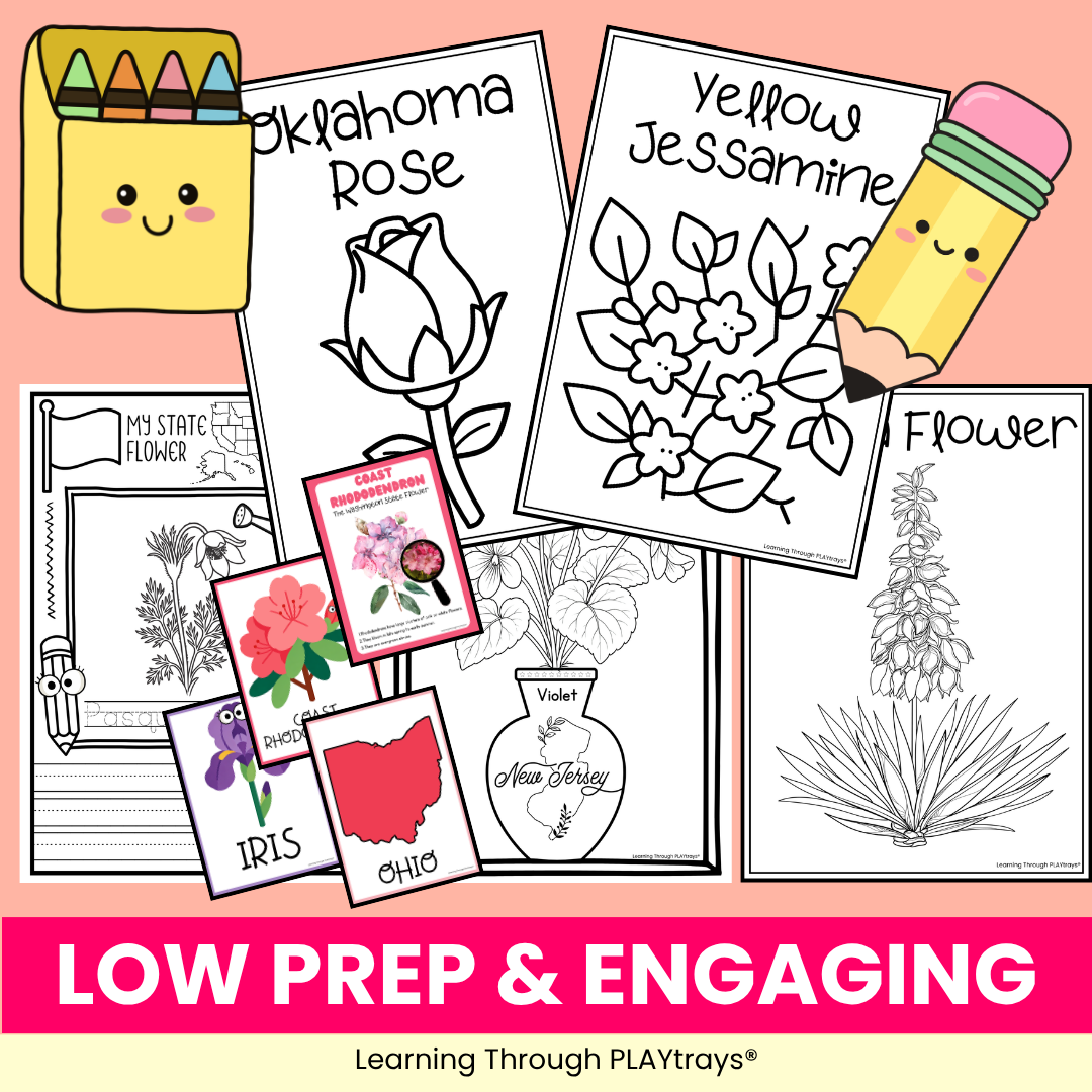 Learning Through PLAYtrays