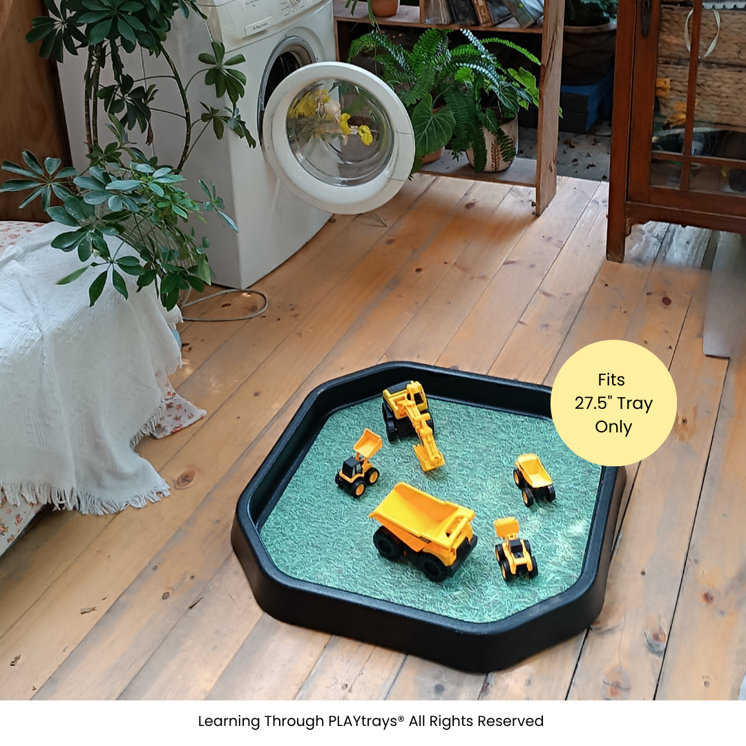 Learning Through PLAYtrays