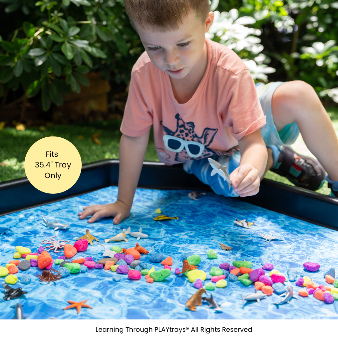 Learning Through PLAYtrays
