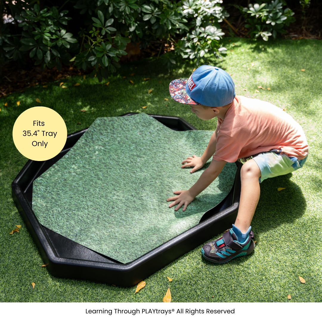 Learning Through PLAYtrays