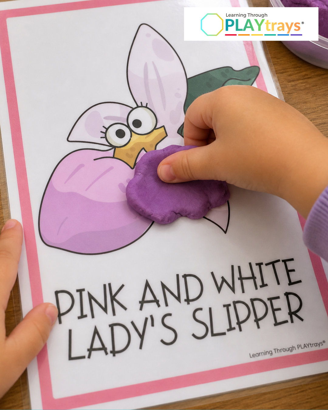 Learning Through PLAYtrays