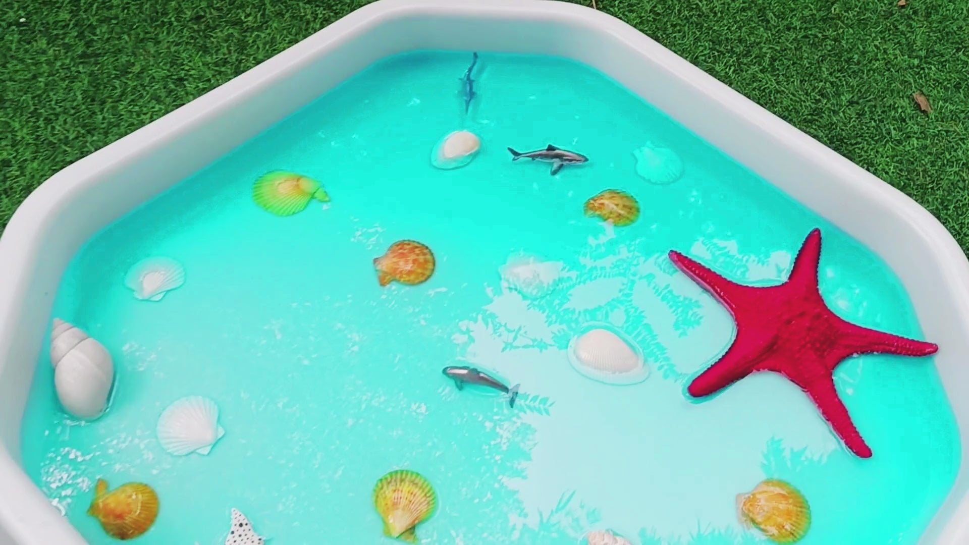 white tuff tray showing water and a starfish for a beach ocean sensory bin idea 