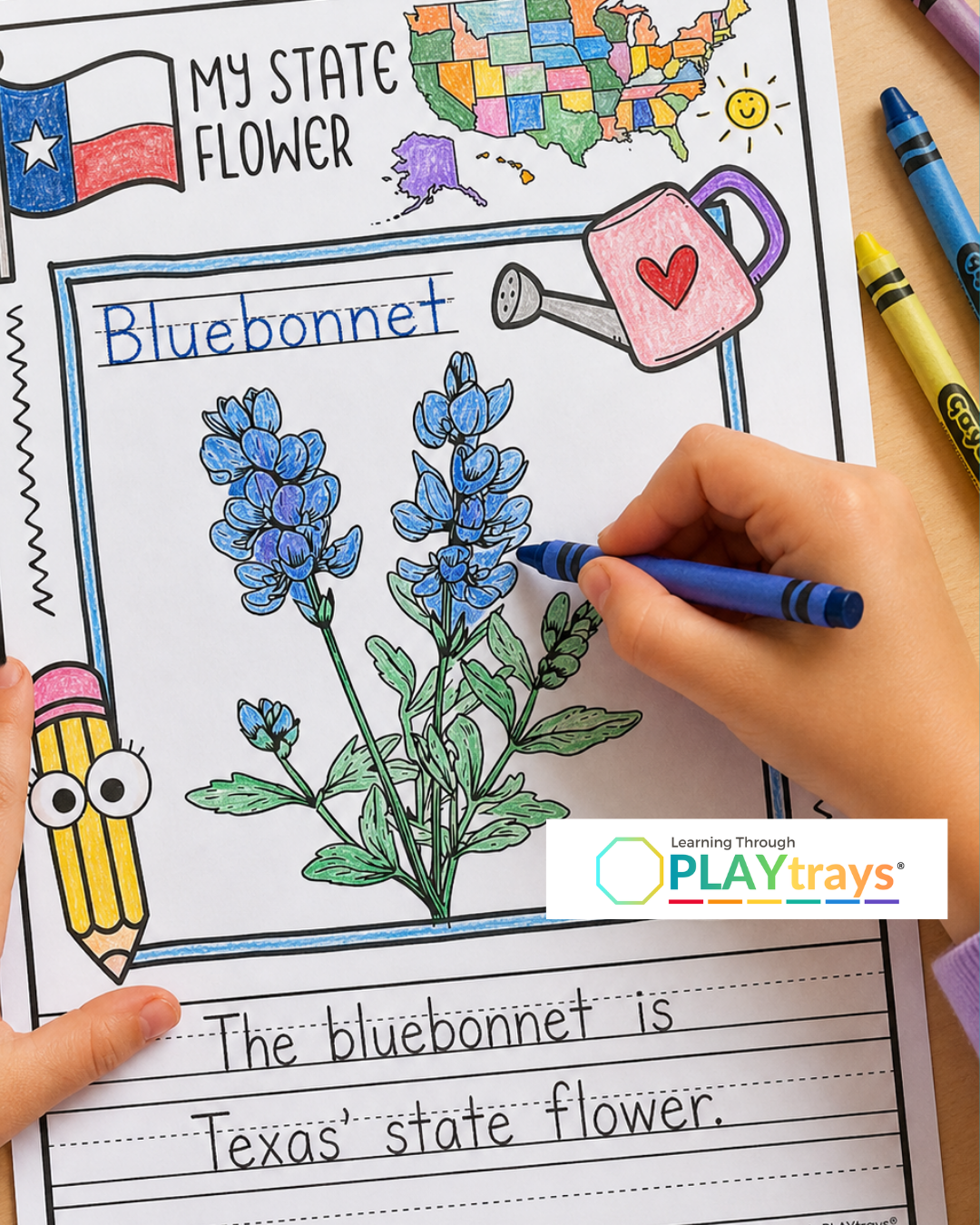 Learning Through PLAYtrays