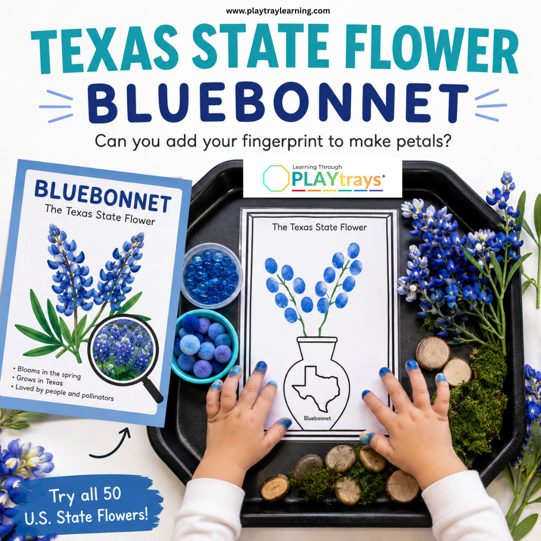 Learning Through PLAYtrays