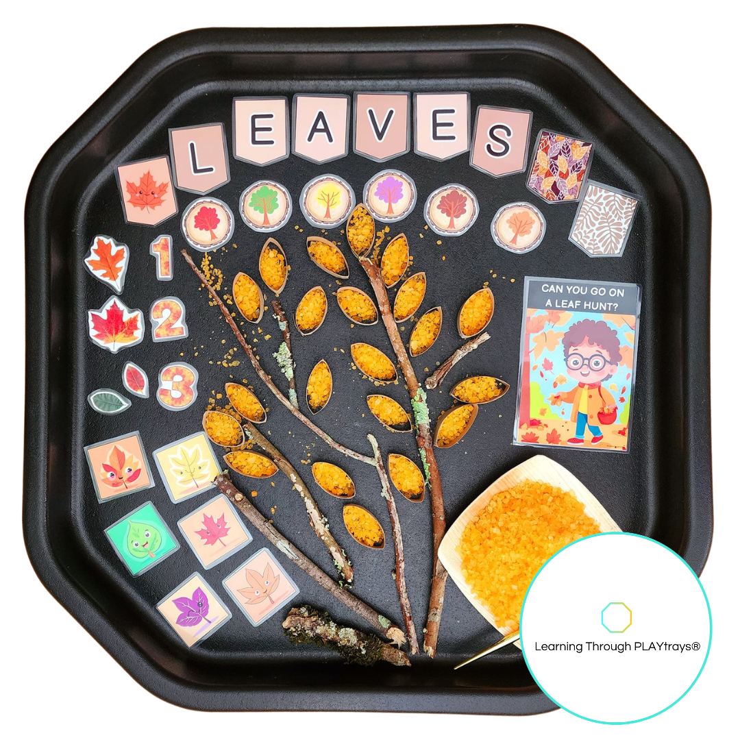 Black tuff tray with leaf-themed educational items including a branch, stickers, and a book titled 'Can You Go on a Leaf Hunt'.